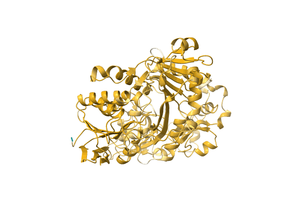 AF-A0A7V9MIQ4-F1 image