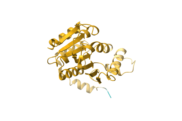 AF-A0A7V9MJ11-F1 image