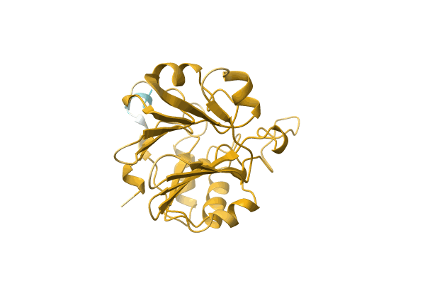 AF-A0A7V9VJY3-F1 image