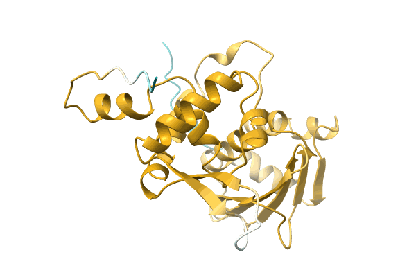 AF-A0A7W5VKA7-F1 image