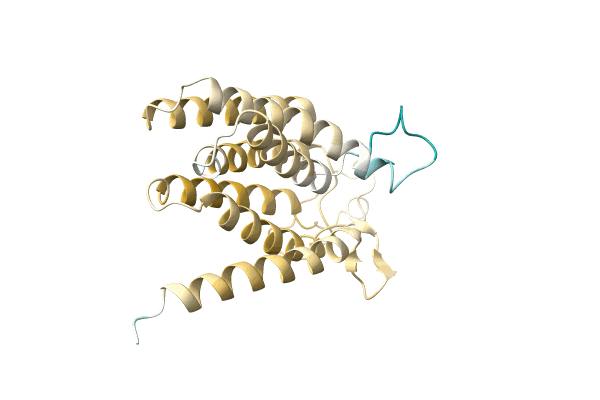 AF-A0A7W5VKA9-F1 image