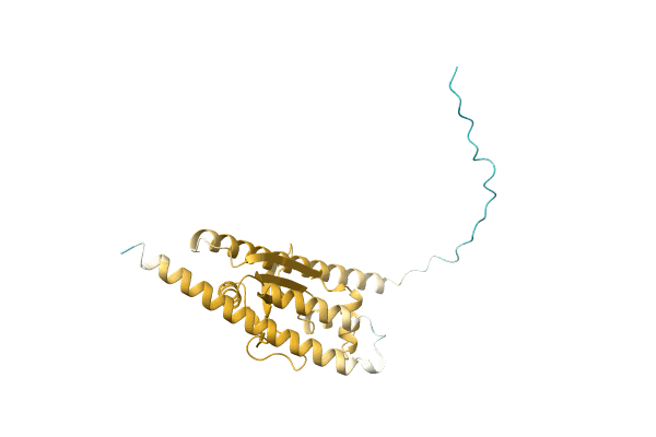 AF-A0A7X5CC56-F1 image