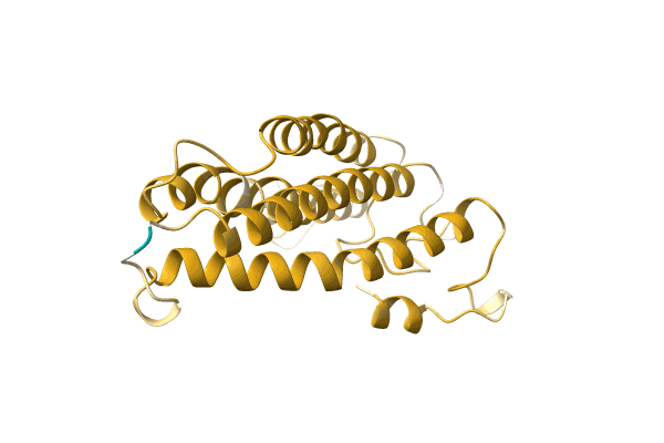 AF-A0A856SR83-F1 image