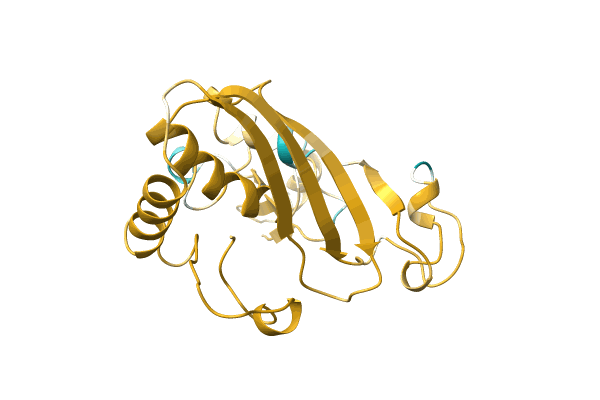 AF-A0A890C559-F1 image