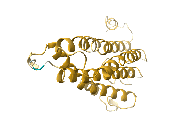 AF-A0A893A4Z5-F1 image