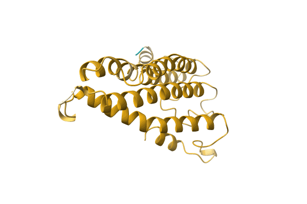 AF-A0A893A7G2-F1 image