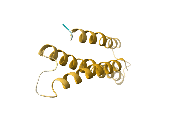 AF-A0A896VSK4-F1 image