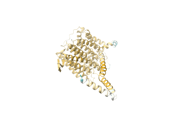 AF-A0A8A1RK77-F1 image