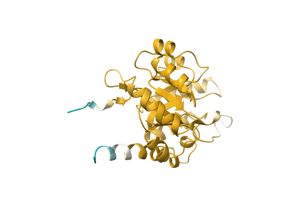 AF-A0A8A4GTP2-F1 image