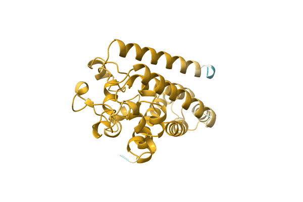AF-A0A8A5X3C4-F1 image
