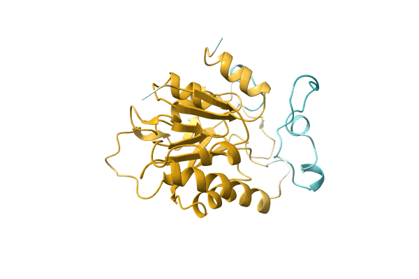 AF-A0A8A6Y7V3-F1 image