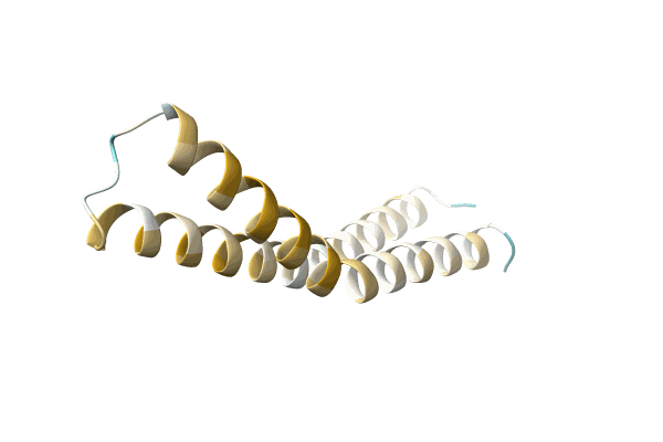 AF-A0A8A6Y7Z7-F1 image