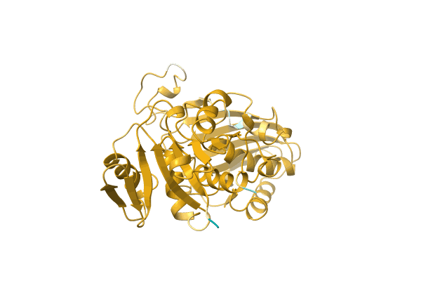 AF-A0A8A6Y827-F1 image