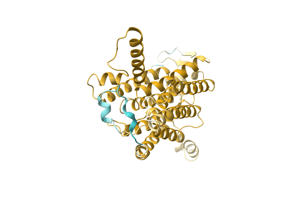 AF-A0A8A6Y844-F1 image