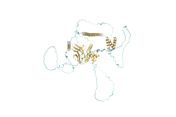 AF-A0A8A6YEY4-F1 image