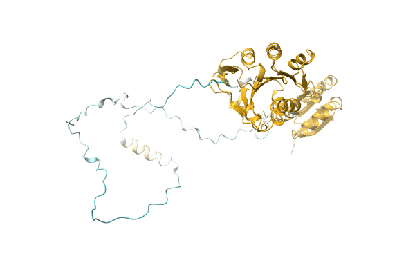 AF-A0A8A6YF11-F1 image