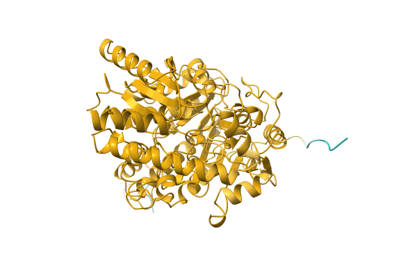 AF-A0A8A7KCW4-F1 image