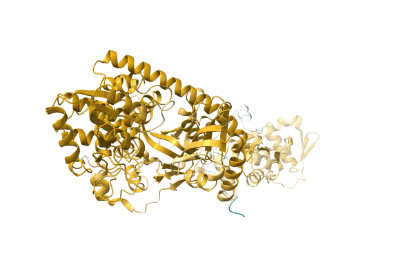 AF-A0A8A7UFN7-F1 image