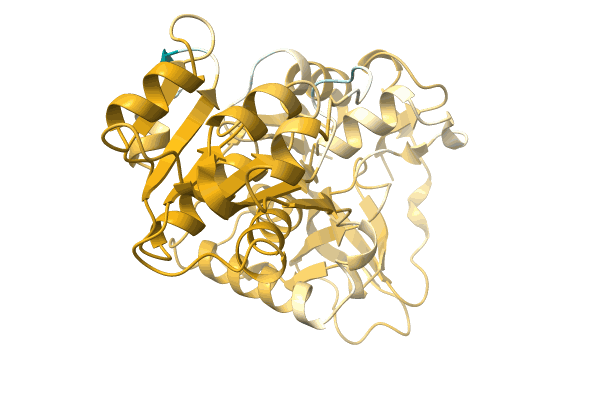 AF-A0A8A7XQQ8-F1 image