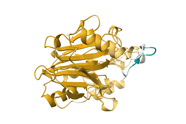 AF-A0A8B2DBF9-F1 image