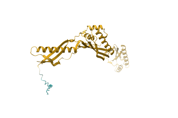 AF-A0A8B2DBH4-F1 image