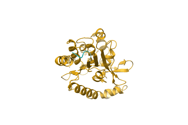 AF-A0A8B2DBM7-F1 image