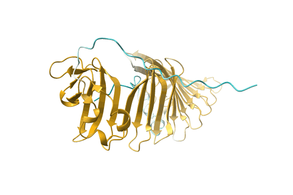 AF-A0A8B2DBP0-F1 image