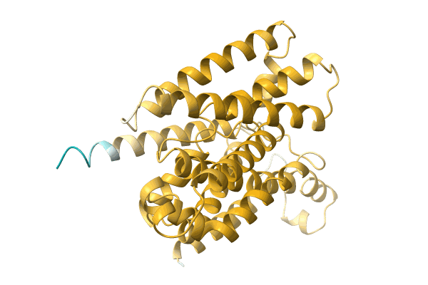 AF-A0A8B3IWA8-F1 image