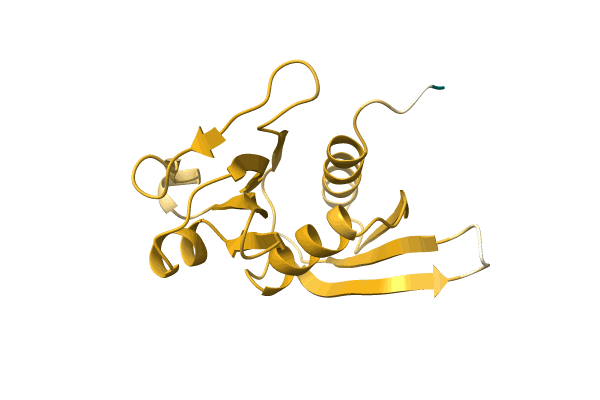 AF-A0A8B3SVD0-F1 image