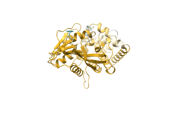 AF-A0A8B3SVD7-F1 image