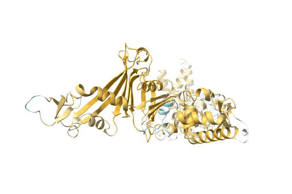 AF-A0A8B3TDQ9-F1 image