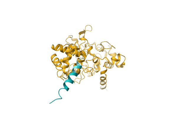 AF-A0A8B3TDU1-F1 image