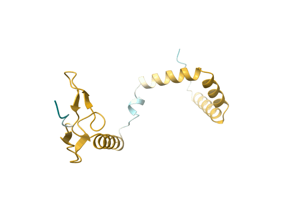 AF-A0A8B4XT63-F1 image