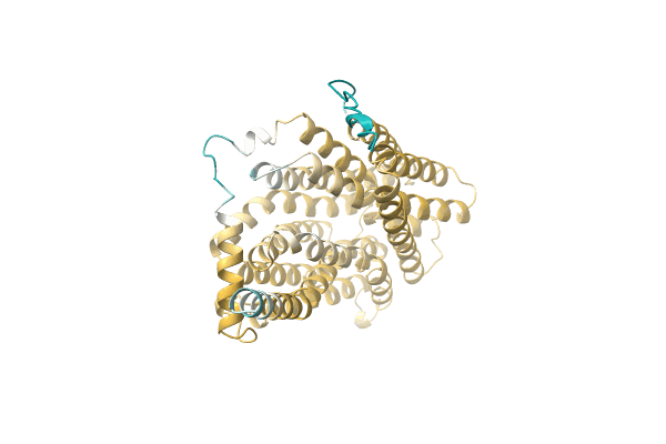 AF-A0A8B4XV26-F1 image