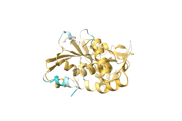 AF-A0A8B4XV29-F1 image