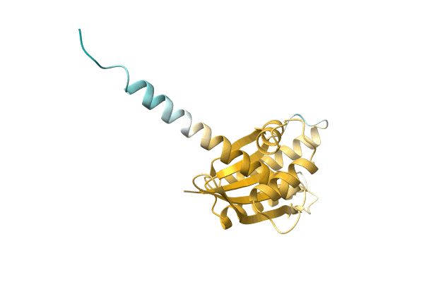 AF-A0A8B4XV45-F1 image