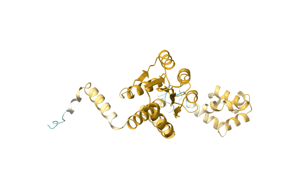 AF-A0A8B4XV49-F1 image