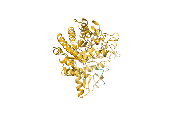 AF-A0A8B4XV62-F1 image