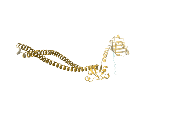 AF-A0A8B4XV68-F1 image