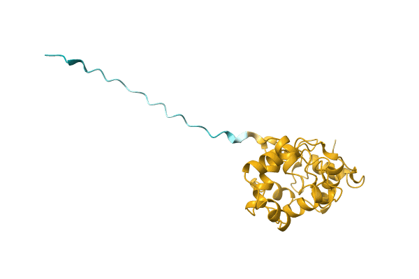 AF-A0A8B5WZZ6-F1 image