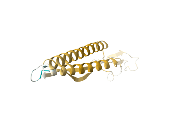 AF-A0A8B5WZZ9-F1 image