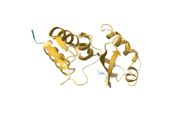 AF-A0A8B5X009-F1 image