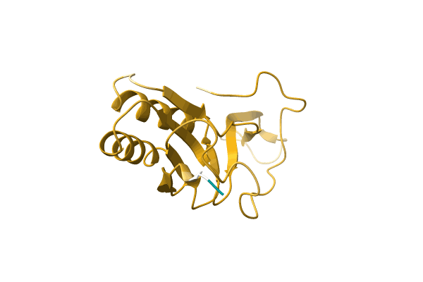 AF-A0A8B5X068-F1 image