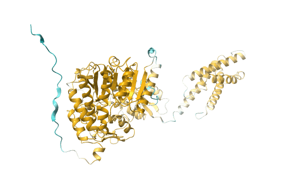 AF-A0A8B5X0B6-F1 image