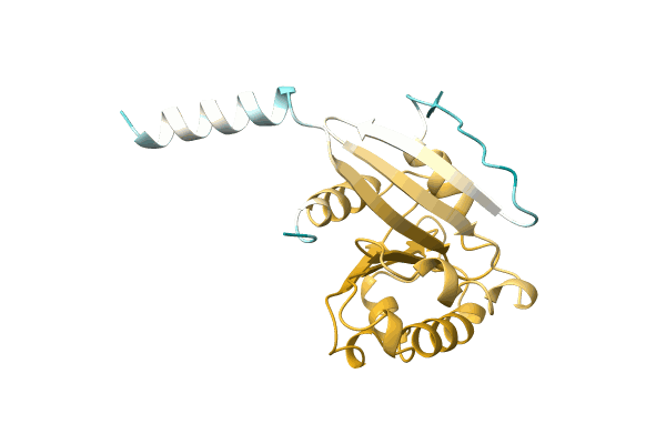AF-A0A8B6CBV0-F1 image