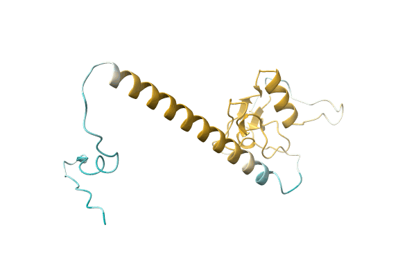 AF-A0A8B6CC08-F1 image
