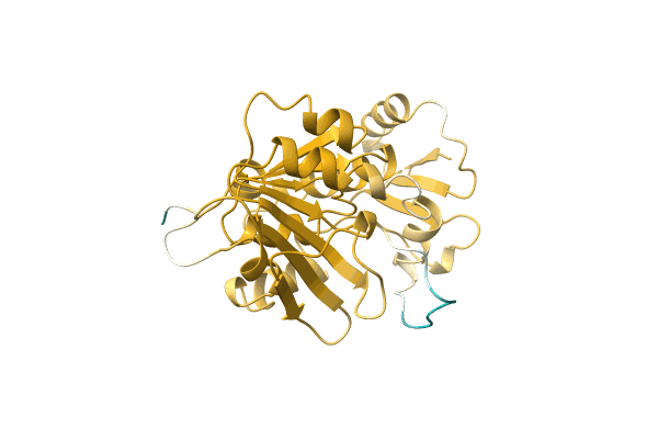 AF-A0KEG6-F1 image