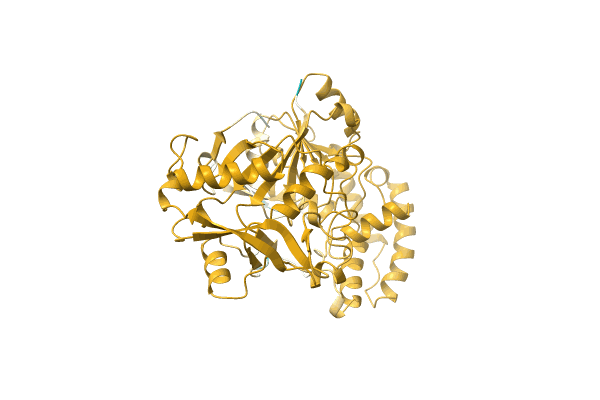 AF-A0PXA8-F1 image