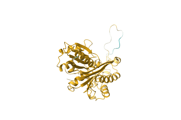 AF-A0PXB6-F1 image
