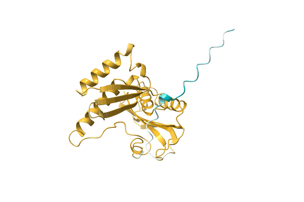 AF-A0RM17-F1 image